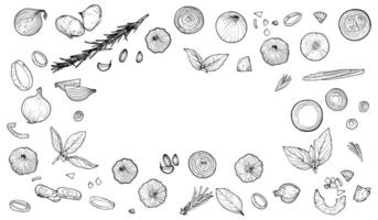 Hand drawn outline of vegetables and condiments such as onion, garlic, basil and rosemary. Top and side view of these condiments are easy to edit and ready to use. vector