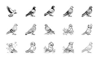 Black White Pigeon Illustrations Hand-Drawn Dove Art vector
