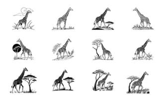 Graceful Giraffe Silhouettes in the Wild Black and White Art vector