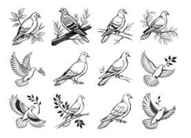 Elegant Dove and Pigeon Line Art Vectors Peace and Nature-Inspired Illustrations
