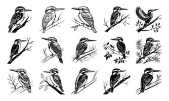 Kingfisher Illustrations Black and White Bird Clipart vector