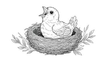 A drawing of a baby bird in a nest vector