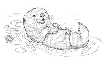 A drawing of an otter in the water vector