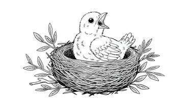 A black and white drawing of a bird in a nest vector