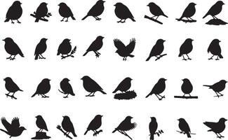 Birds silhouettes illustration vector