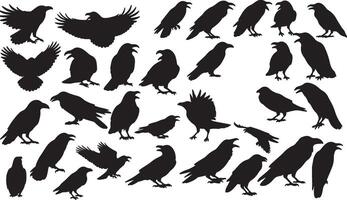 A collection of silhouettes of ravens vector