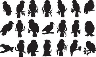 A set of silhouettes of different birds vector