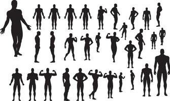 Silhouettes of people in various poses vector
