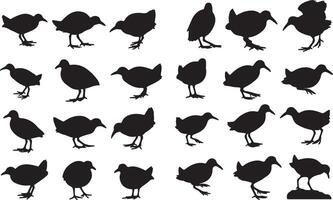 A set of silhouettes of birds in various poses vector