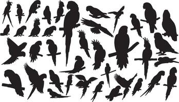 A large collection of silhouettes of parrots vector