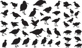 A collection of silhouettes of birds vector
