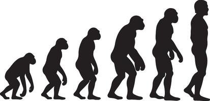The evolution of man vector