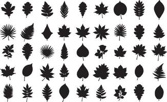 A collection of leaves silhouettes on a white background vector