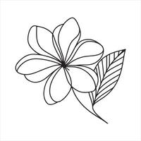 Single one line lily flower in single continuous line drawing style black silhouette white background vector
