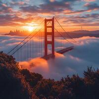 Sunrise over fog at Golden Gate Bridge photo