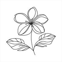 Single one line lily flower in single continuous line drawing style silhouette white background vector