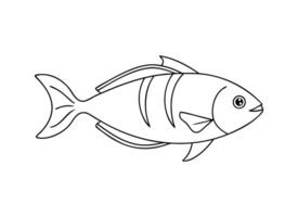 Simple Fish Line Drawing for Coloring Pages vector