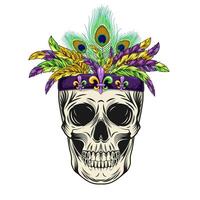 Human skull with band with bundle of colorful feathers on top. Detailed illustration in vintage style. Mardi Gras decoration. Front view. vector