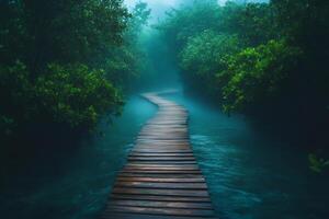 Serene wooden pathway through misty mangrove forest photo