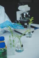 A person in a lab coat is working on plants photo