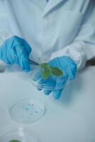A person in a lab coat holding a plant photo