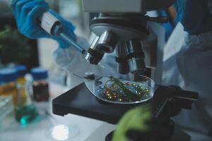 A person in a lab coat is looking at a microscope photo