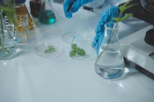 A person in blue gloves is holding a plant in a laboratory photo