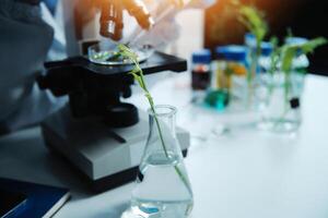 A person is looking at a plant in a vase photo