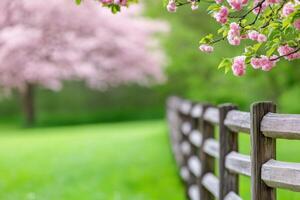 Rustic wooden farm fence with blossoming trees creating a serene spring landscape in soft focus photo
