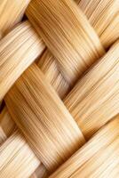 Close-up view of an intricately woven Dutch braid showcasing detailed patterns and textures with a subtle soft focus in the background photo