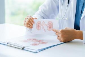 Doctor discusses kidney health with patient in bright medical office while using anatomical diagram photo