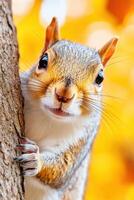 Close-up view of a squirrel climbing a tree in warm autumn light highlighting natural textures and hues photo