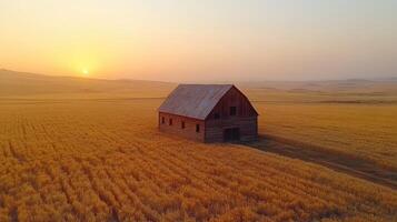 Old wooden barn standing in a golden wheat field at sunset photo