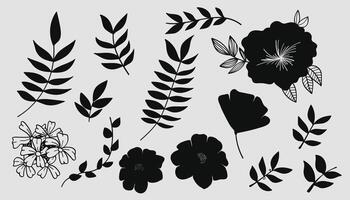 Silhouette botanical hand drawn line vintage with flowers and leaves wildflowers vector