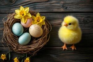 Cute chick standing near easter nest with colorful eggs and daffodils on rustic wood photo