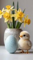 Little chick standing next to easter egg with daffodils in the background photo
