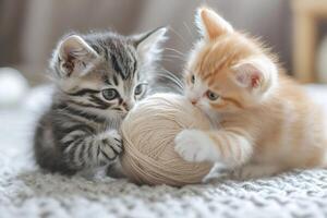 Two kittens playing with ball of yarn on knitted blanket photo