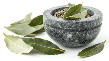 Ground bay leaf with fresh bay leaves in a gray stone mortar photo