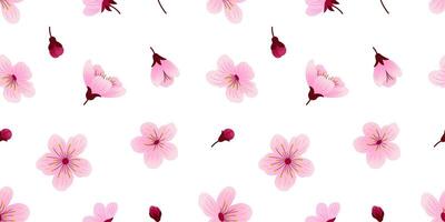 Seamless pattern with pink sakura flowers and buds on a white background for textile, fabric, wrapping paper. Botanical pattern with cherry blossom. vector