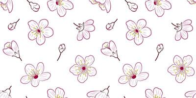Seamless pattern with colored outlines of sakura flowers and buds on a white background for textile, fabric, wrapping paper. Botanical pattern with cherry blossom. vector