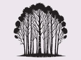 Black Color Birch Tree Forest Silhouette with Tall Trunks and Leafless Branches in a Scenic View vector