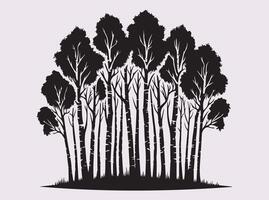Birch Tree Forest Silhouette in Solid Black with Detailed Branches and Elegant Tree Trunk Designs vector