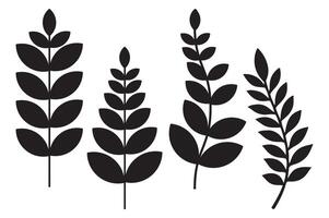 silhouette black leaf with with background vector