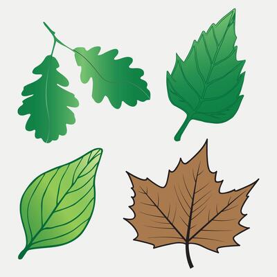 A beautiful watercolor-style leaf art with a mix of vibrant colors, enhancing aesthetic appeal.