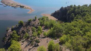 Aerial. view of a forest with a body of water in the background. Turtle beach video