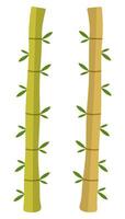 Bamboo flat icon isolated on white background. vector