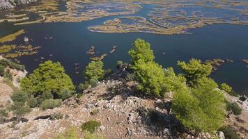 Aerial. river with trees and rocks in the background. Dalyan Strait video