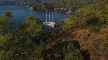 Aerial. a yacht is moored in a bay surrounded by trees video