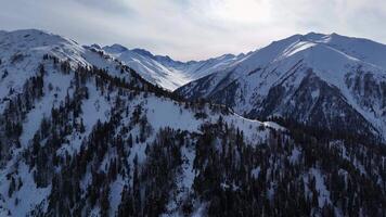 Majestic mountain range covered in snow with evergreen trees video