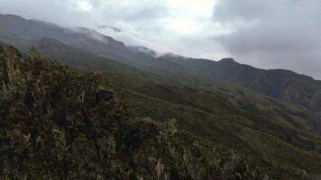 Aerial view of lush mountain slopes and misty peaks in Tanzania video